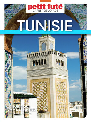 cover image of TUNISIE 2025 Carnet Petit Futé